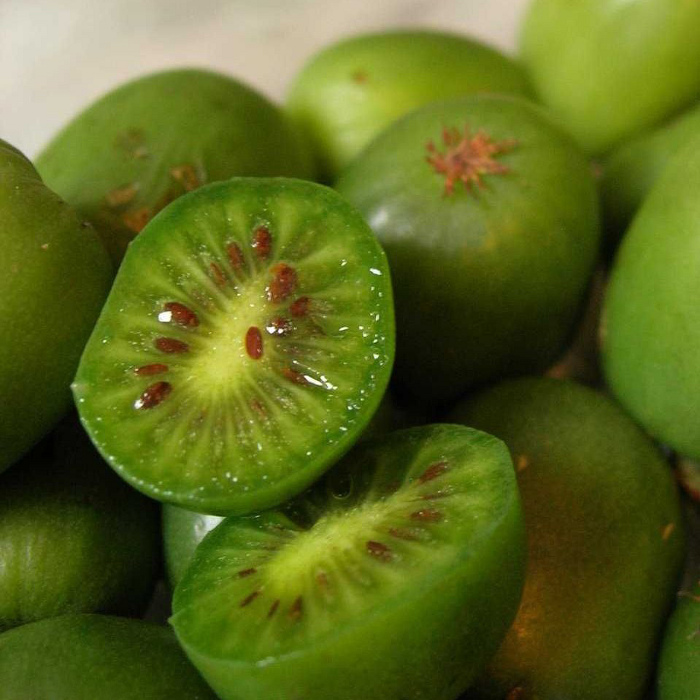 Киви актинидия острая Иссаи